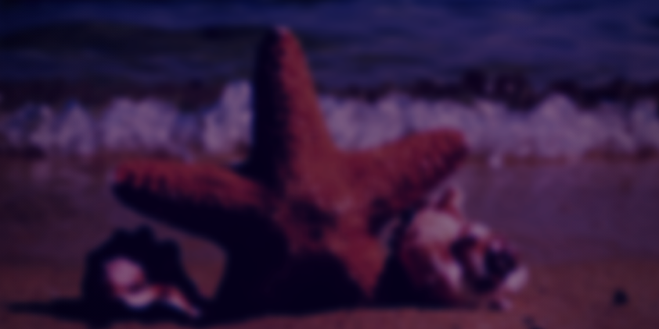Copy of BE20190827 - Summer Celebration - banner - V2 - HS