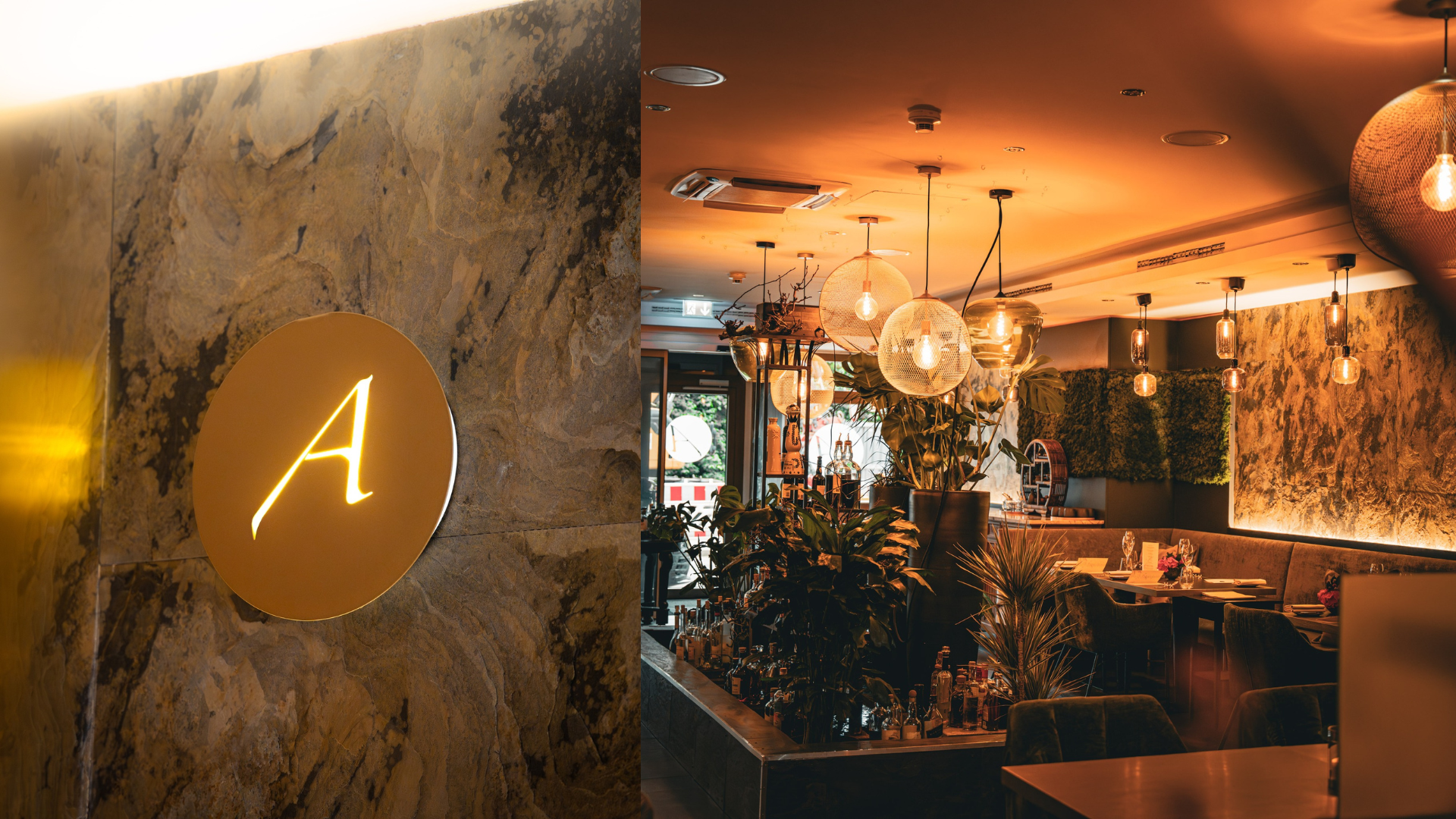 DE20260311 - Banner (3)