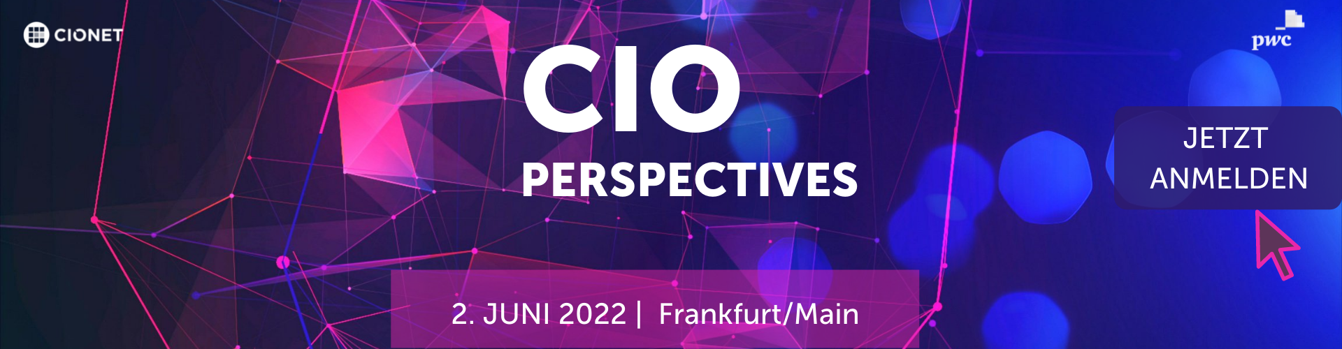 cio perspectives