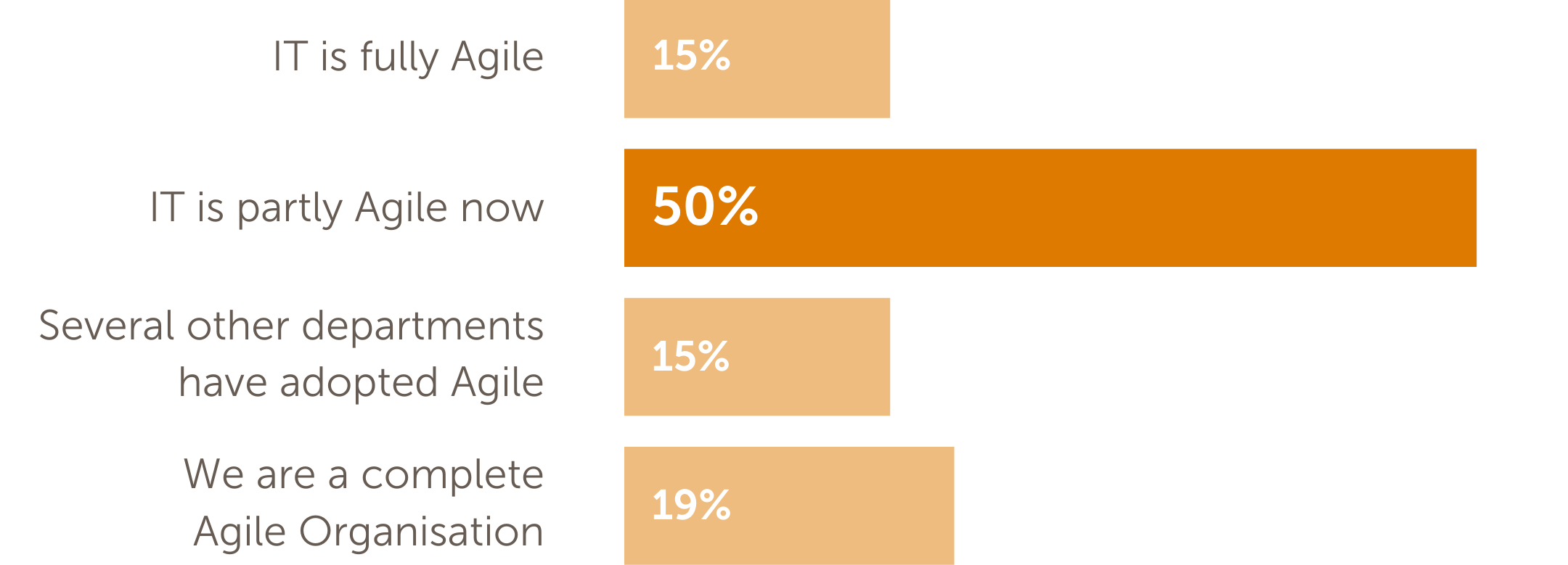 CIONEXT  | Finance & Public Sector - Poll Results - Agile