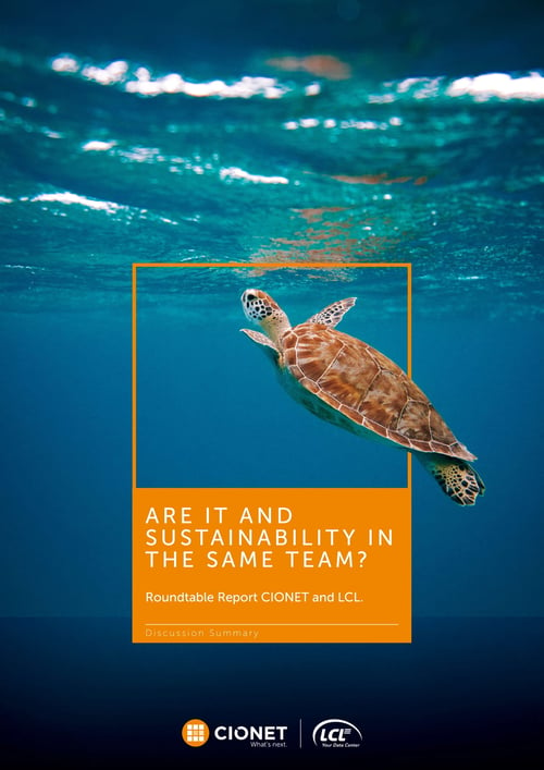 IT sustainability