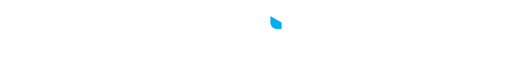 LOGO VEM (1)