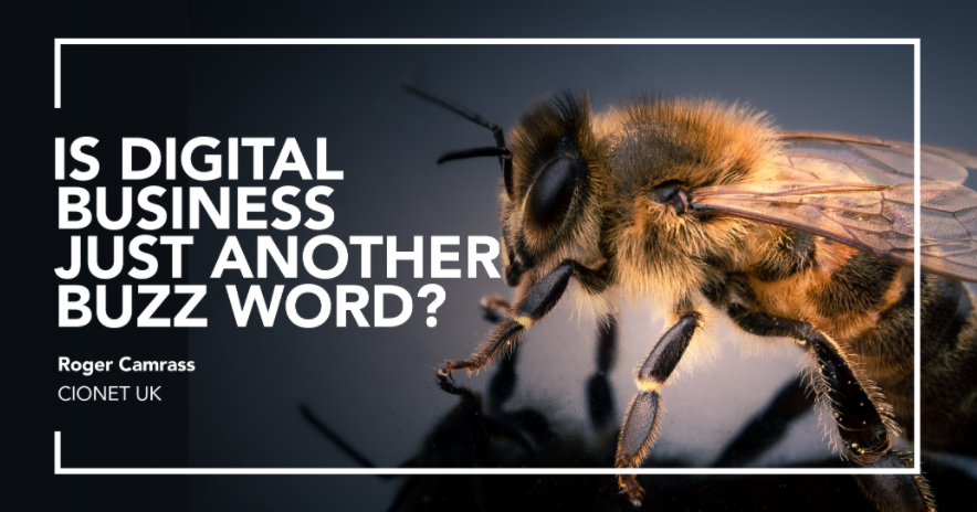 Roger Camrass _ IS DIGITAL BUSINESS JUST ANOTHER BUZZ WORD? _ CIONET UK