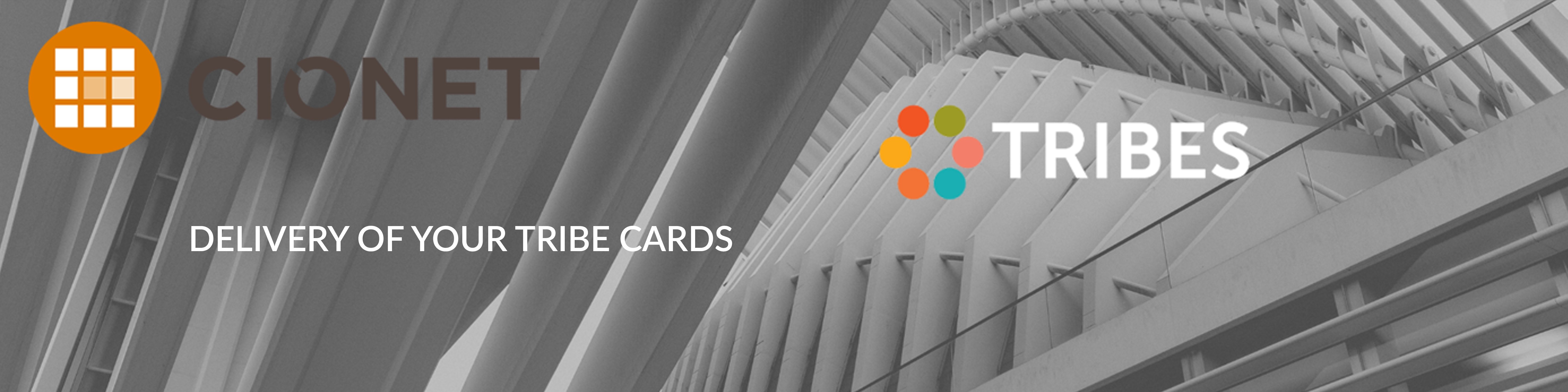 deliverytribecards_v1s
