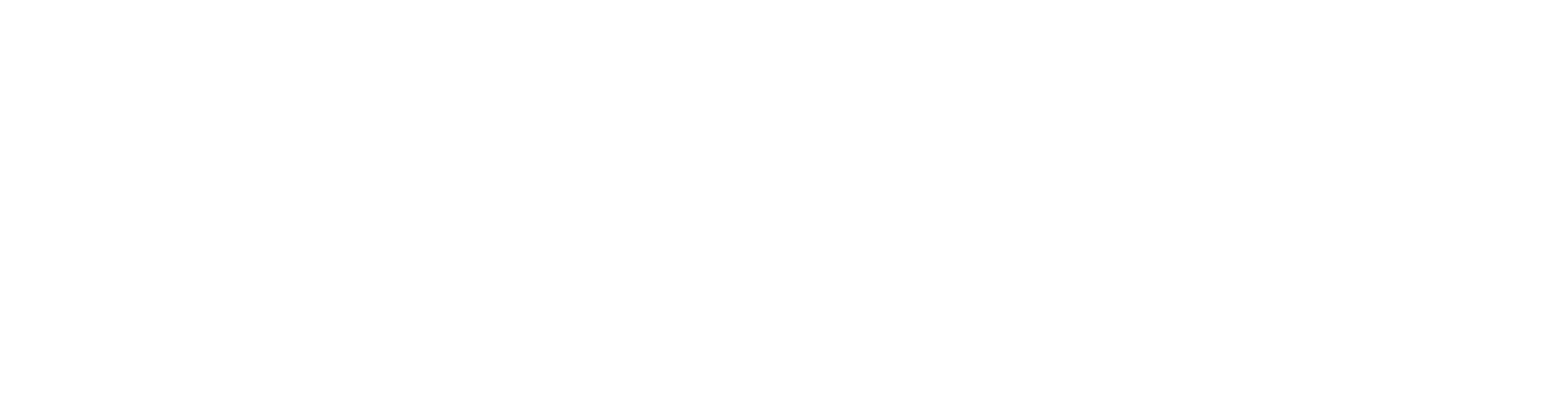 logo_CIONET_horizontal_nosignature_white_RGB-3