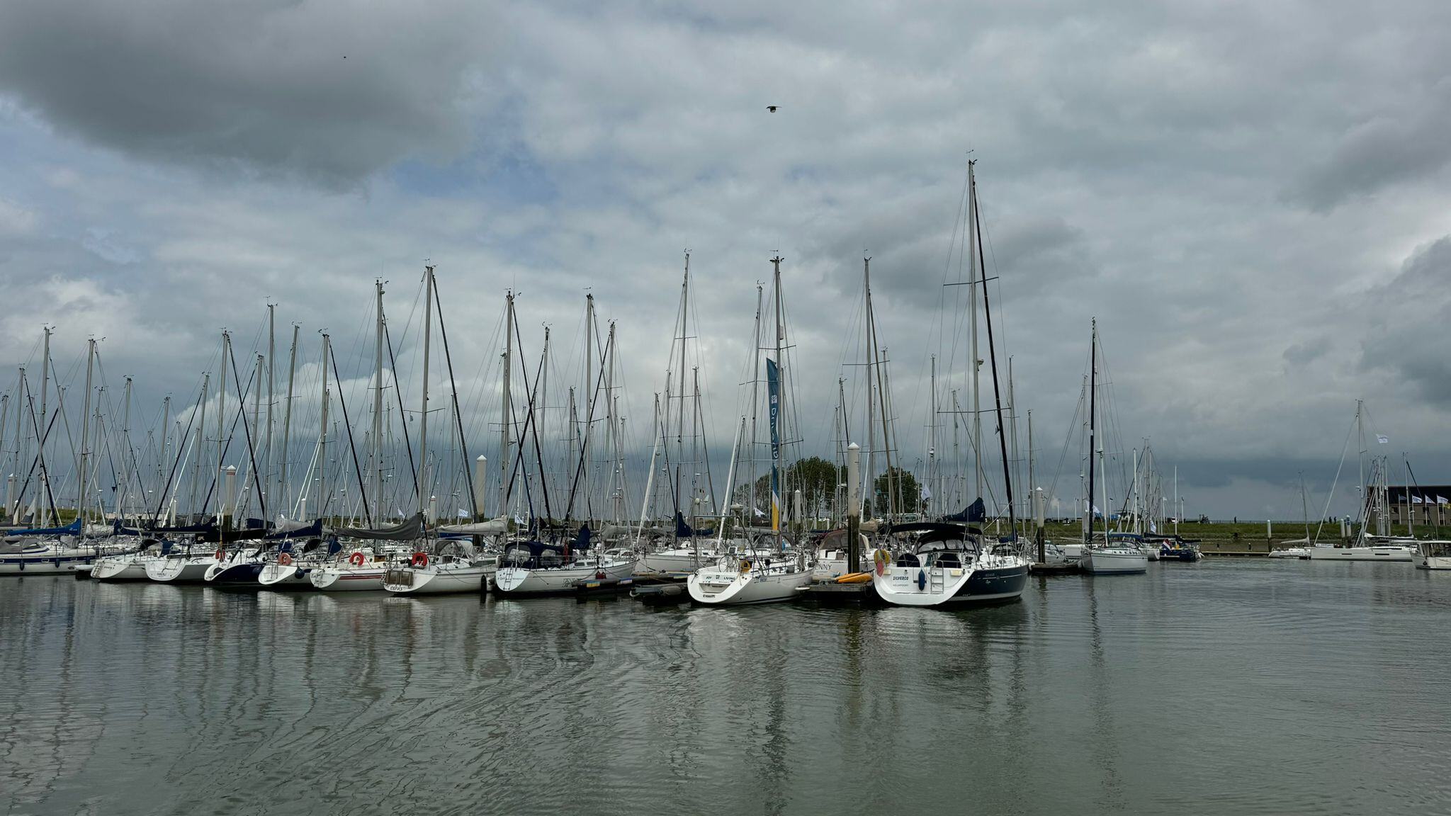 BE20240612 regatta pictures