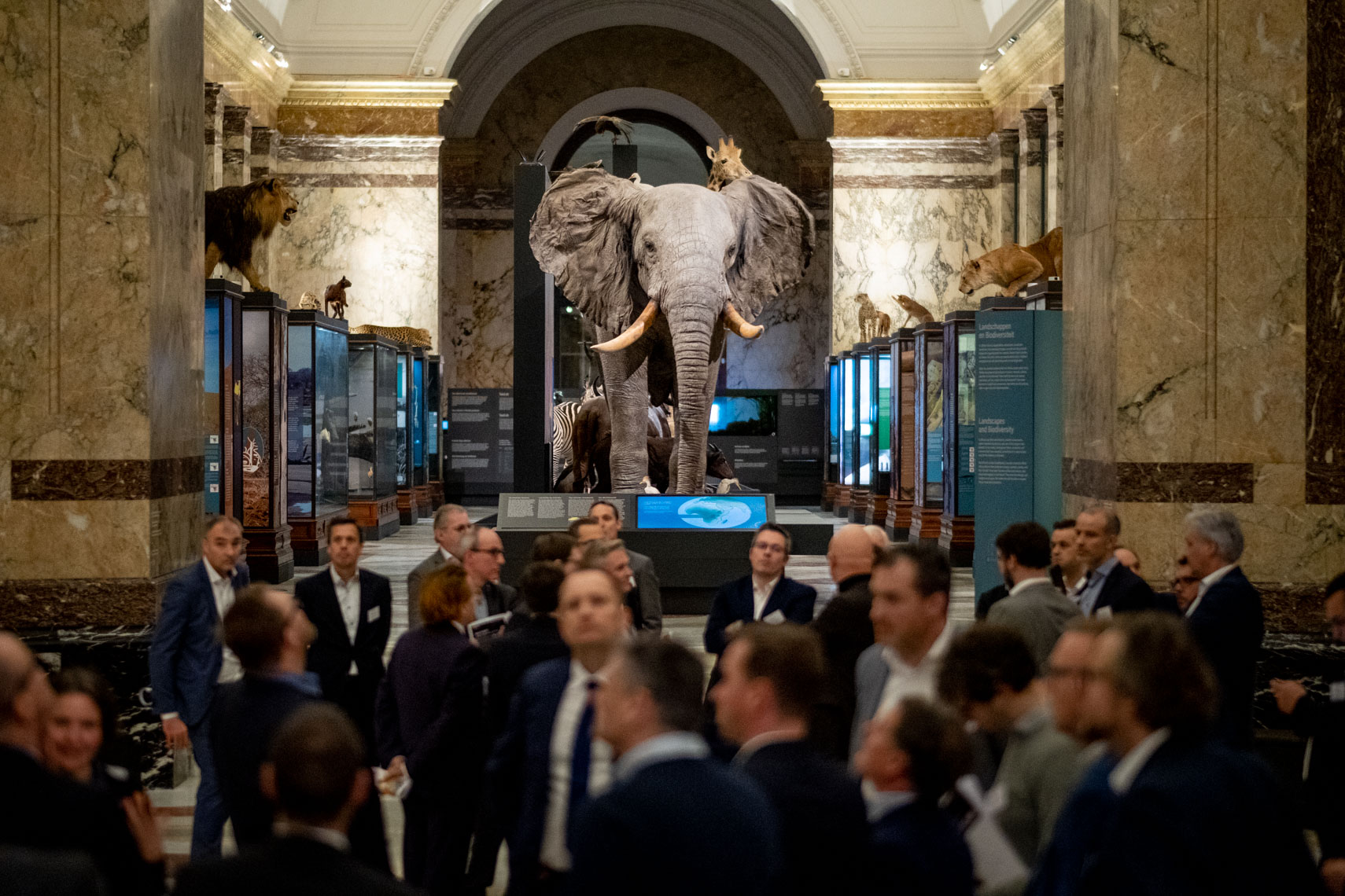CIONET Belgium - Annual Event 2020