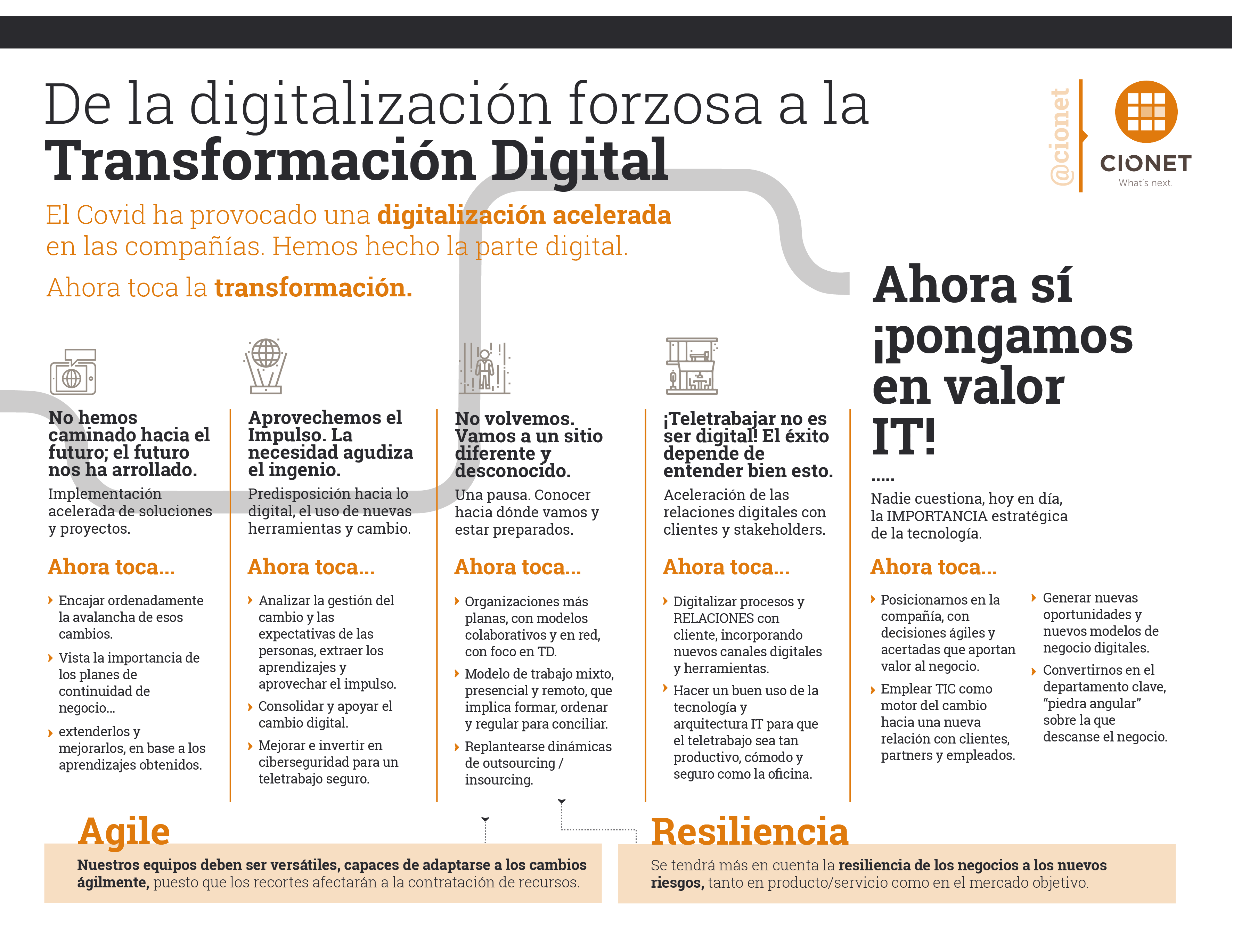 INFOGRAFIA CONSEJO ASESOR CIONET V4-01-1
