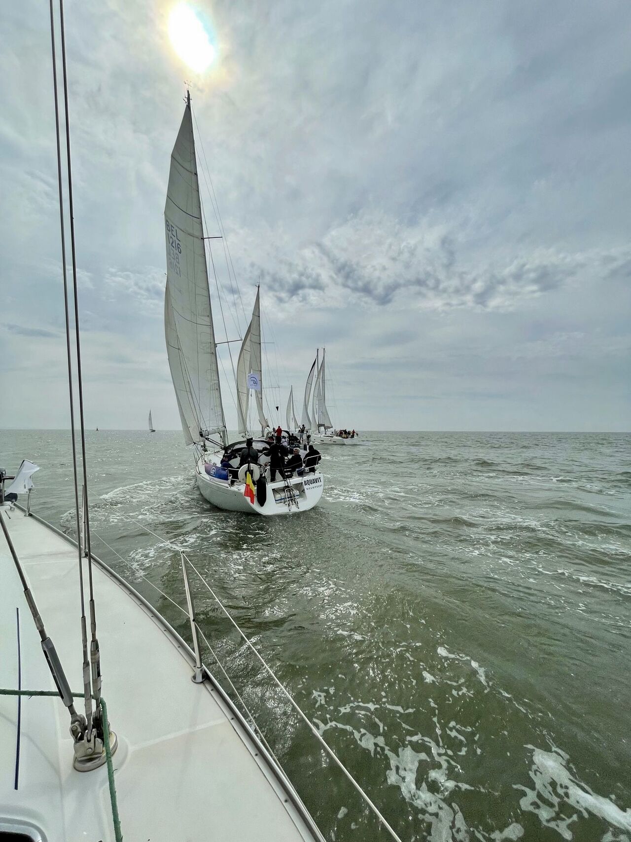 CIONET Regatta