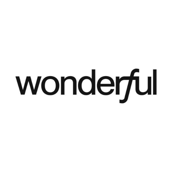 wonderful AI