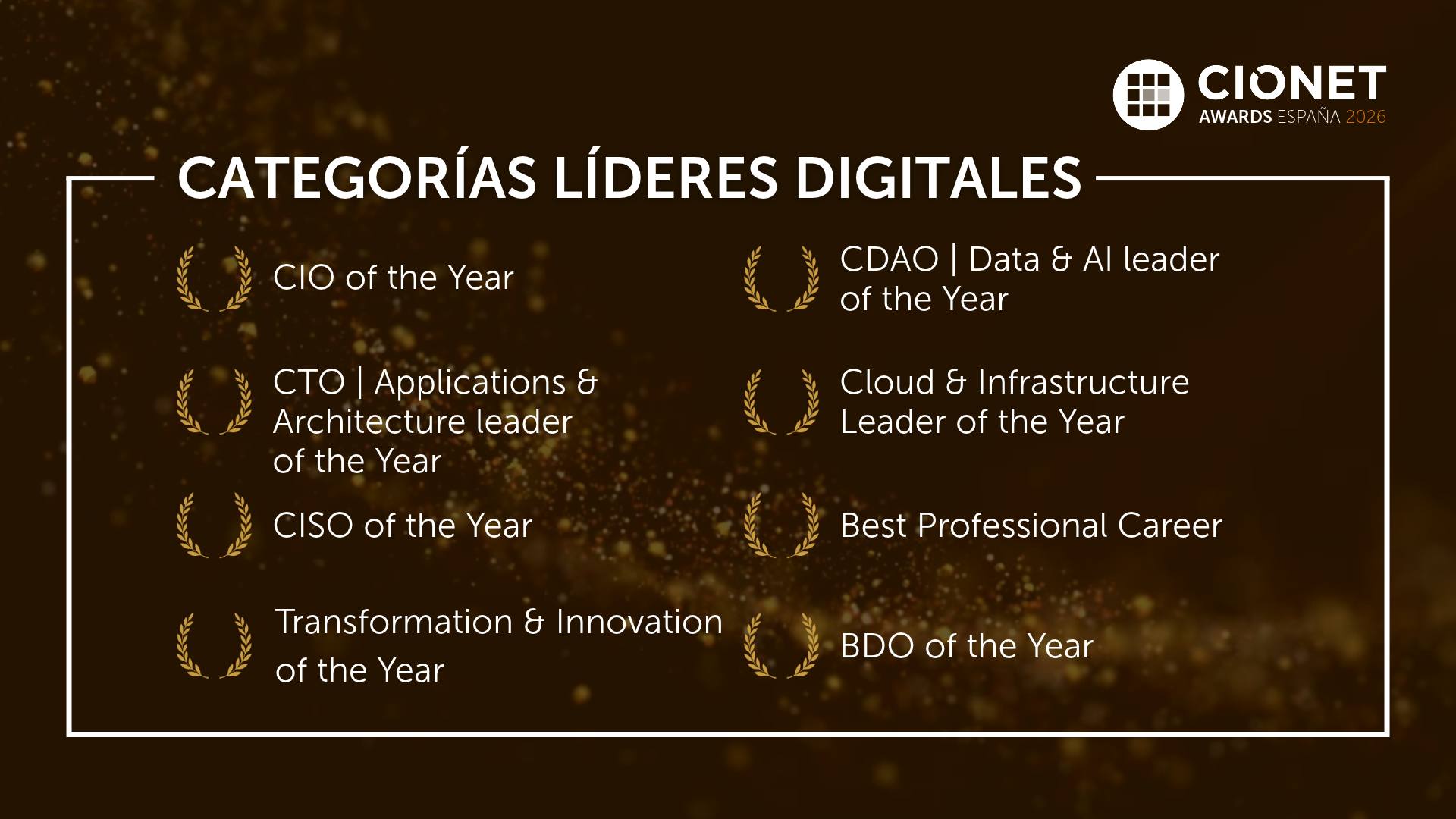 categorías líderes digitales