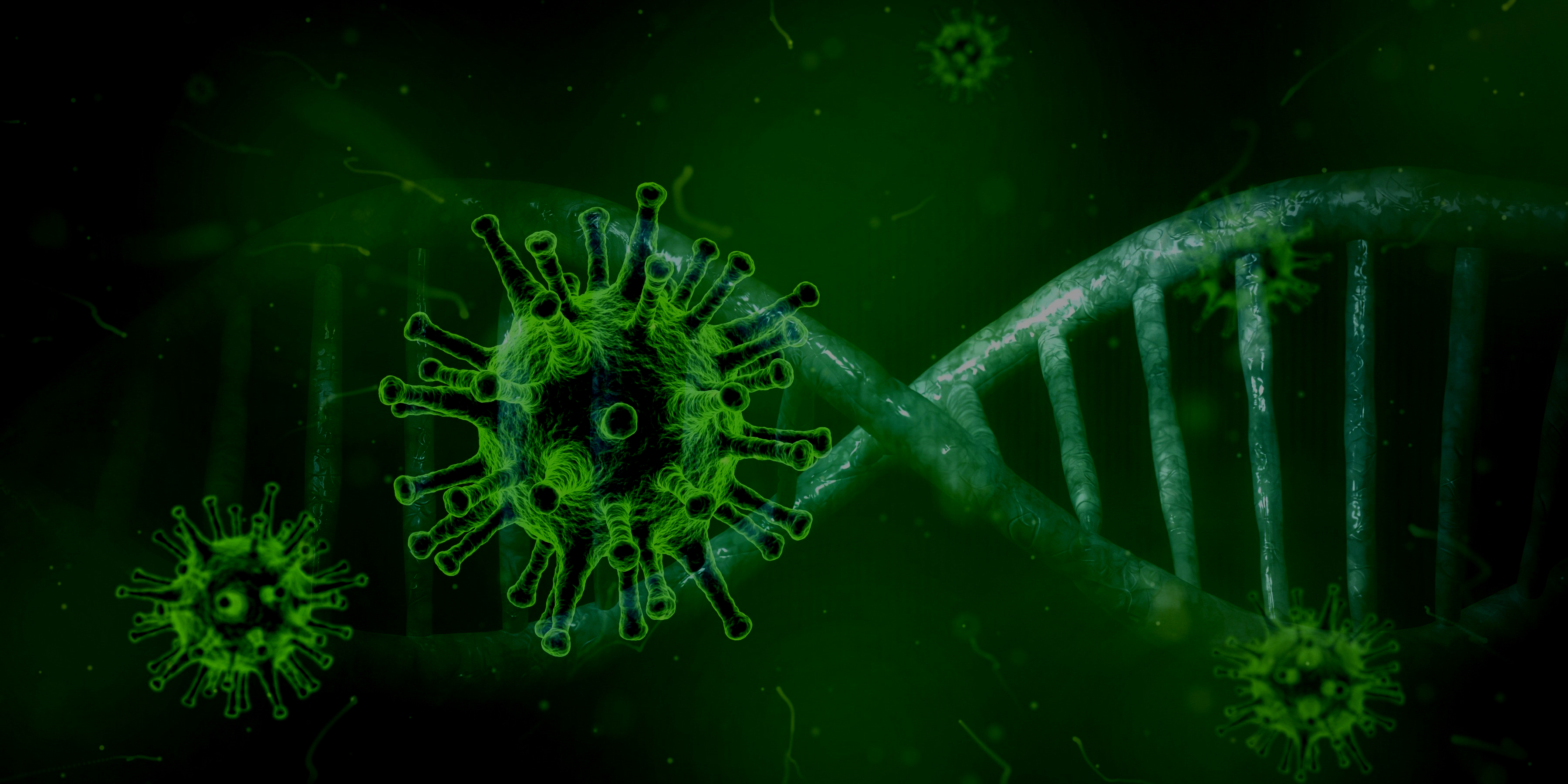 coronavirus-4_2