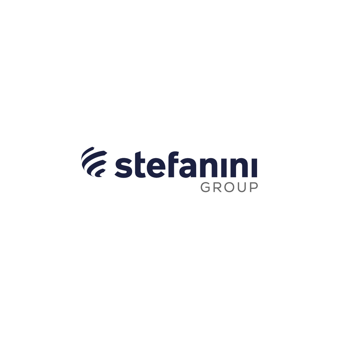 stefanini logo