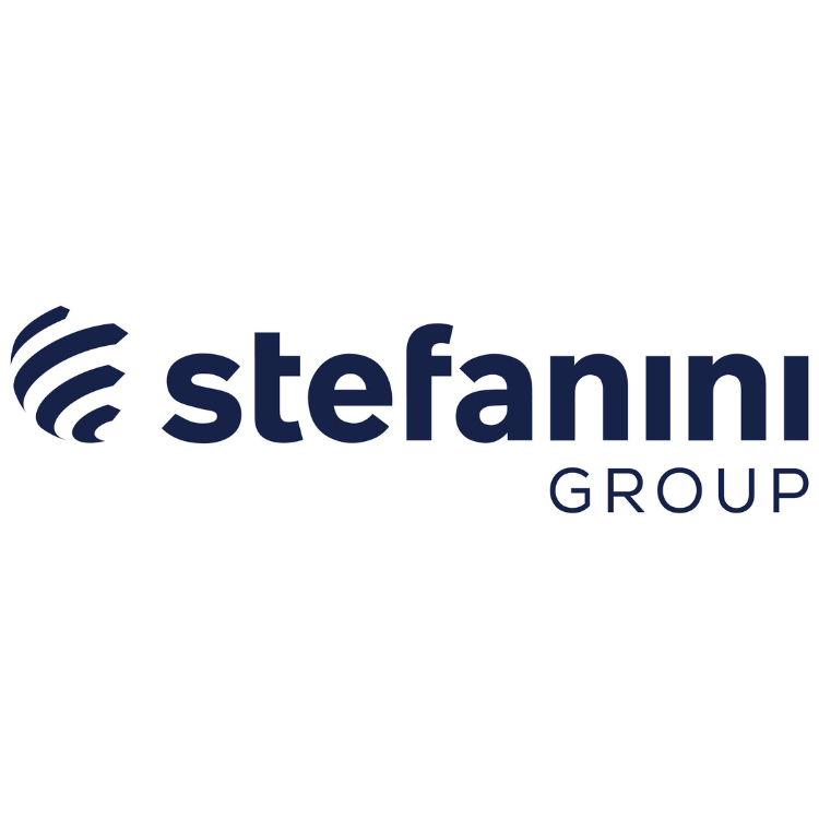 stefanini logo website