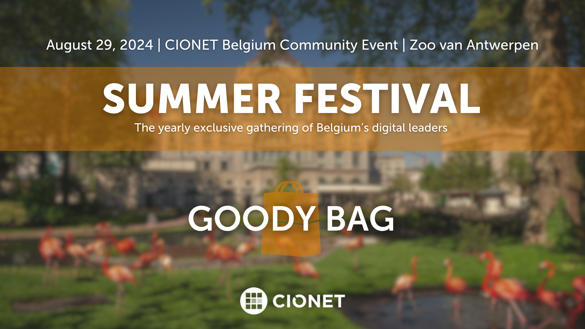summerfest banner (6)-1